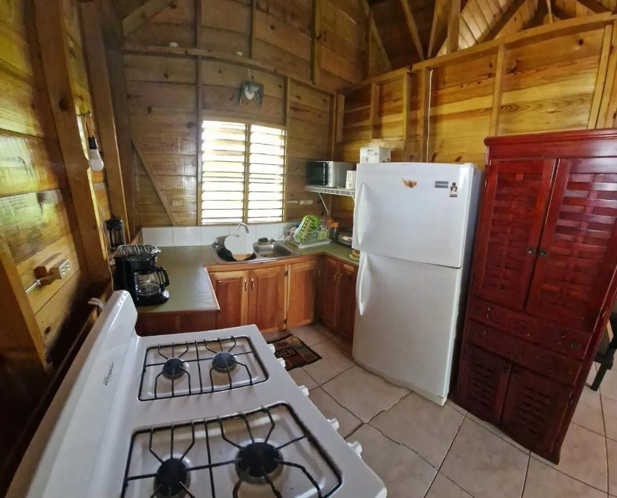 Negril Humble Cabin 0*,