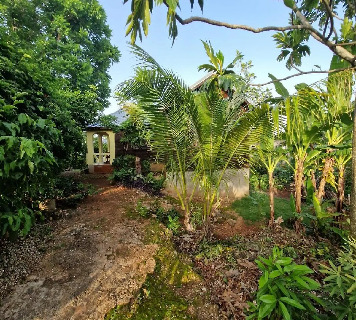 Negril Humble Cabin Σπίτι διακοπών